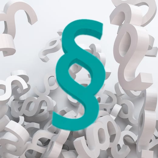 Online: Einführung SGB VIII