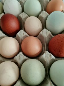 Eier mit Naturfarben