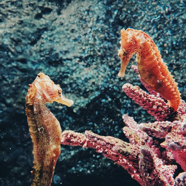 Diversity in Beruf und Alltag